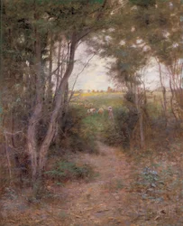 A Ti-Tree Glade